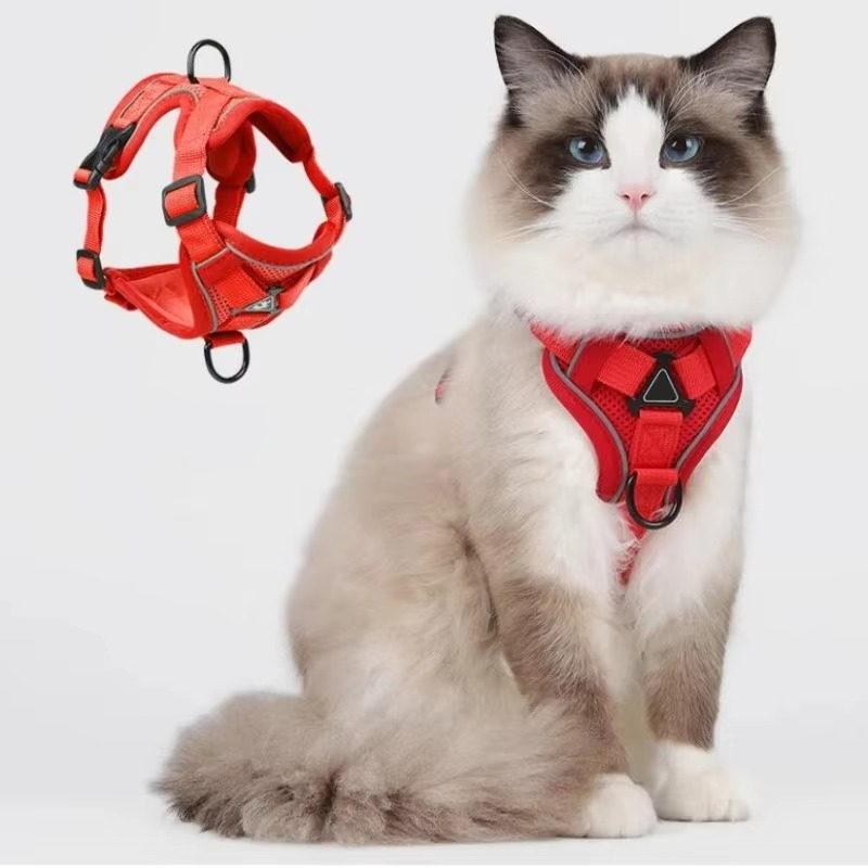 Reflective Belro cat harness and leash set with adjustable straps, padded design, and reflective strips for safety during walks.