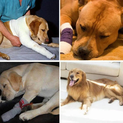 Belro orthopedic dog brace suspenders with adjustable straps and supportive design for canine mobility assistance.