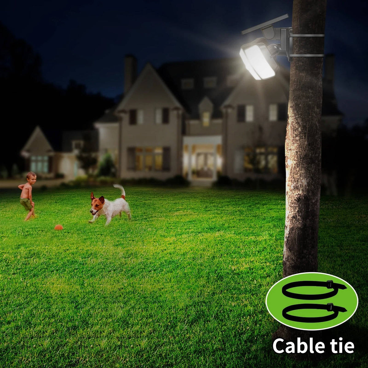 Belro solar powered flood lights with motion sensor illuminating outdoor garden area at night