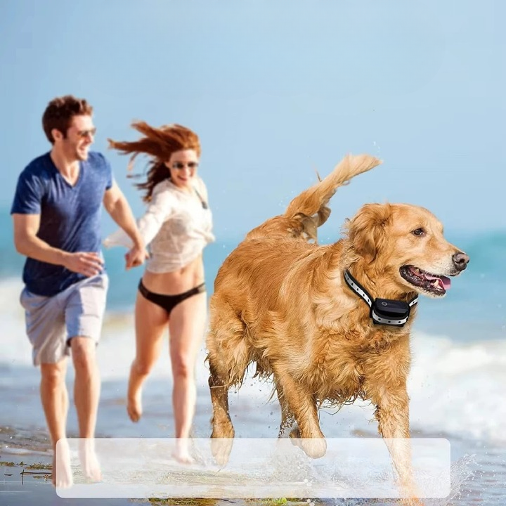 Mivoza dog training collar with remote, vibration and beep modes, 1000m range, for effective pet training.