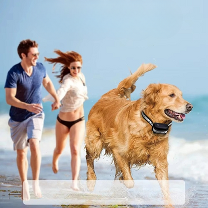 Mivoza dog training collar with remote, vibration and beep modes, 1000m range, for effective pet training.