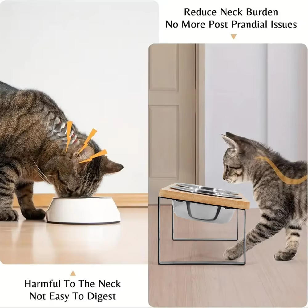 Belro elevated cat bowl for pet feeding, featuring a raised design to improve comfort for cats during mealtime.