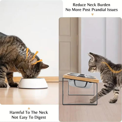 Belro elevated cat bowl for pet feeding, featuring a raised design to improve comfort for cats during mealtime.