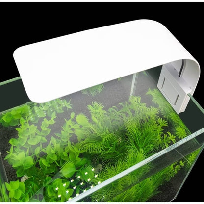 Belro super slim LED fish tank aquarium light illuminating an aquatic plant in a clear fish tank, ideal for aquarium lighting.