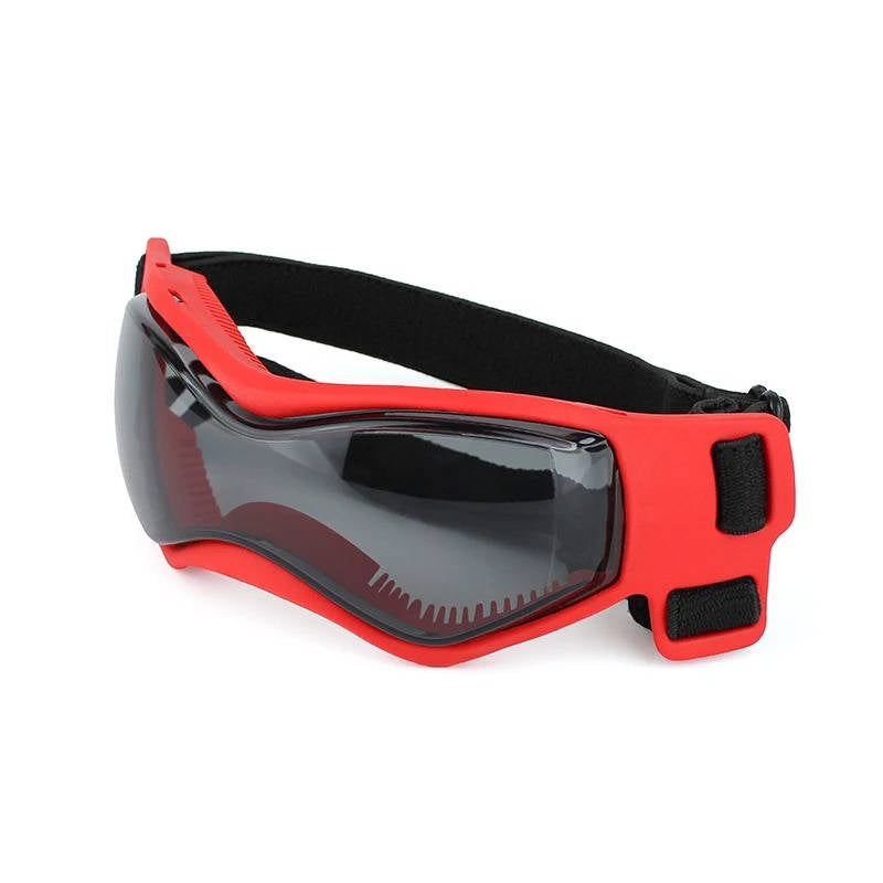 Belro dog goggles with clear protective lenses, lightweight frames, and adjustable straps for comfortable outdoor wear.