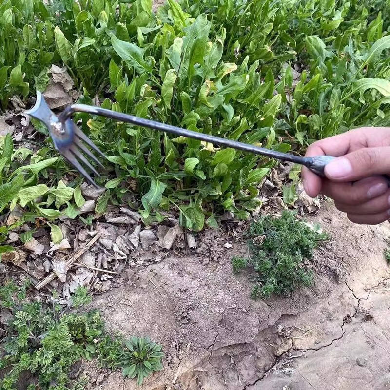 Belro men's weed tool remover for clothing, featuring a durable design ideal for removing weeds from fabric and outdoor gear.