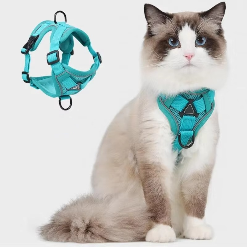 Reflective cat harness and leash set from Belro, featuring adjustable straps and secure clip, ideal for safe outdoor walks.