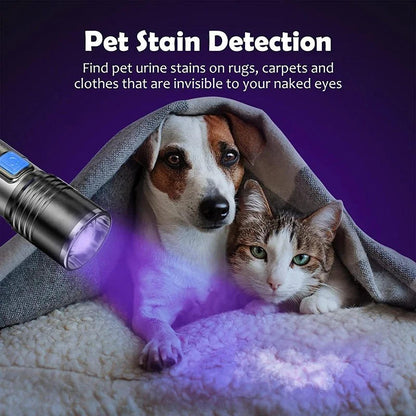 Belro Black Light Flashlight showing ultraviolet light beam in a dark setting, compact handheld electronics flashlight.