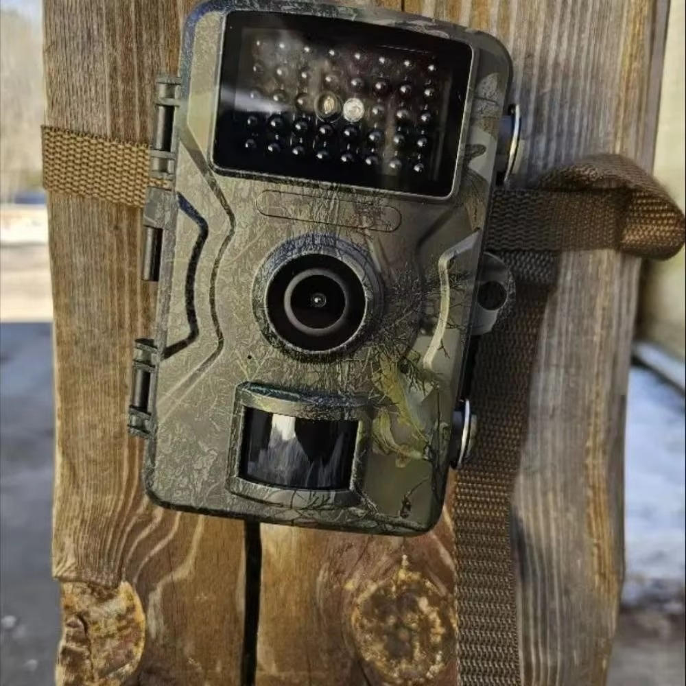 Belro night vision outdoor wildlife trail camera capturing images of animals in natural surroundings at night