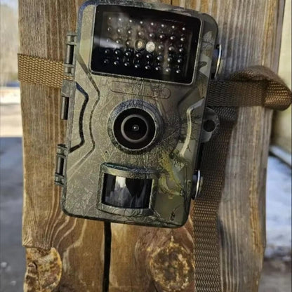 Belro night vision outdoor wildlife trail camera capturing images of animals in natural surroundings at night