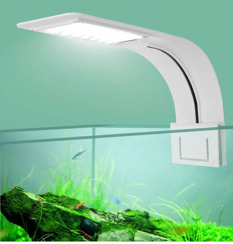 Belro super slim LED fish tank aquarium light illuminating aquatic plants in a clear fish tank for vibrant underwater display.