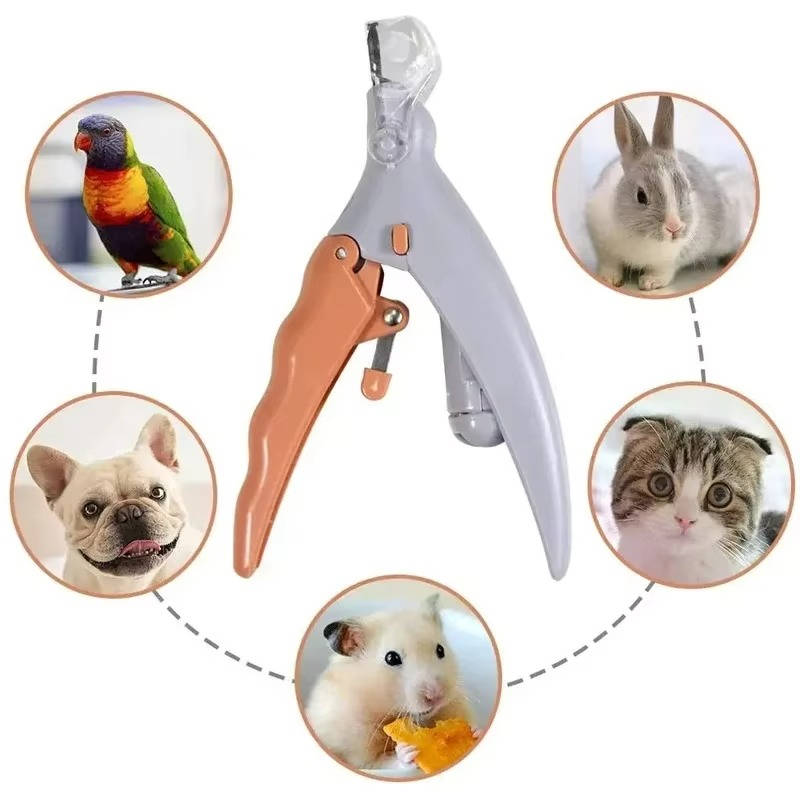 Belro Pet Bail Clipper with built-in light for dog grooming, showing a close-up of the clipper and grooming blades.