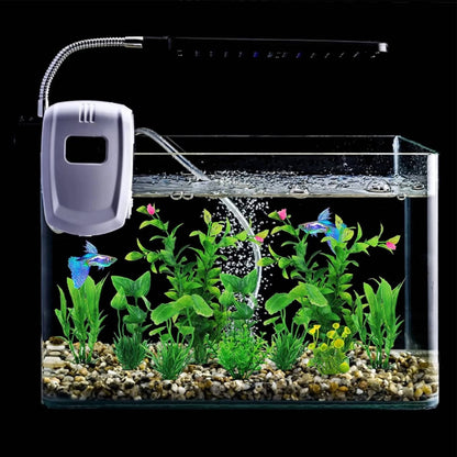 Colorful fish tank decoration by Belro, featuring vibrant aquatic ornaments for pet fish and aquarium decor.