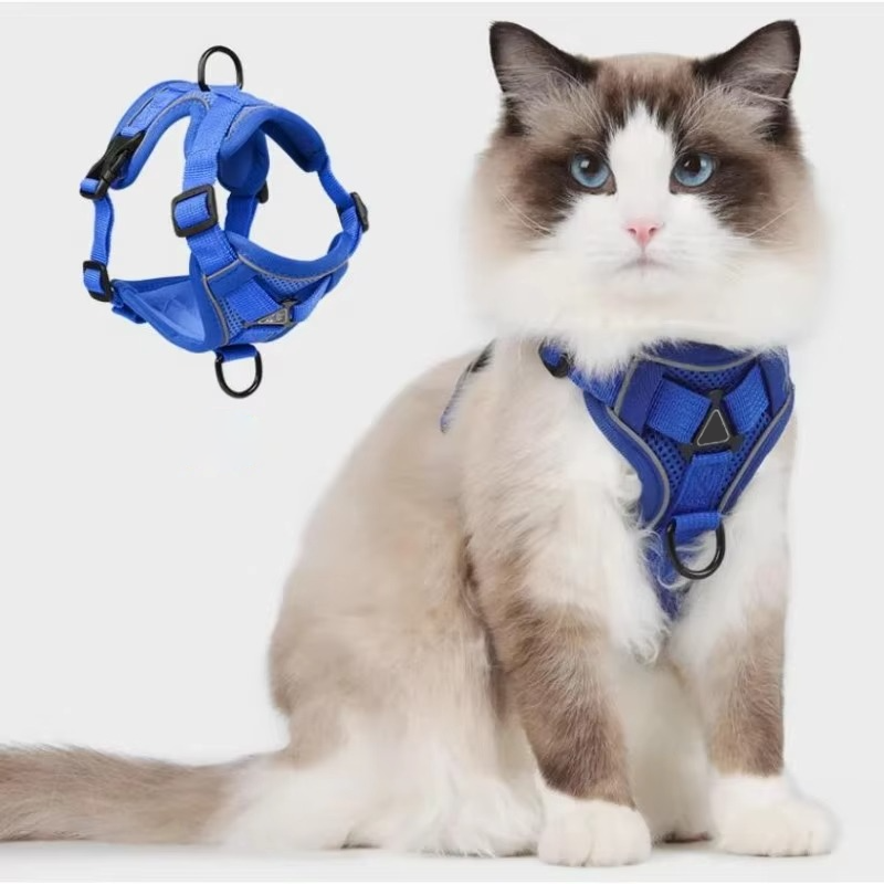 Belro reflective cat harness and leash set with adjustable straps, padded design, and reflective strips for visibility.
