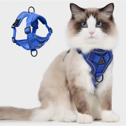 Belro reflective cat harness and leash set with adjustable straps, padded design, and reflective strips for visibility.