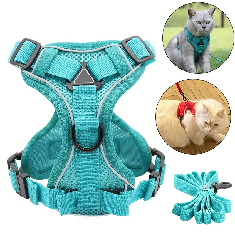 Reflective Belro cat harness and leash set with adjustable straps and padded design for secure and comfortable outdoor walks.