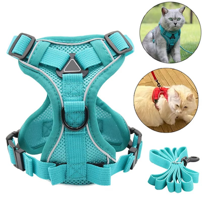 Reflective Belro cat harness and leash set with adjustable straps and padded design for secure and comfortable outdoor walks.