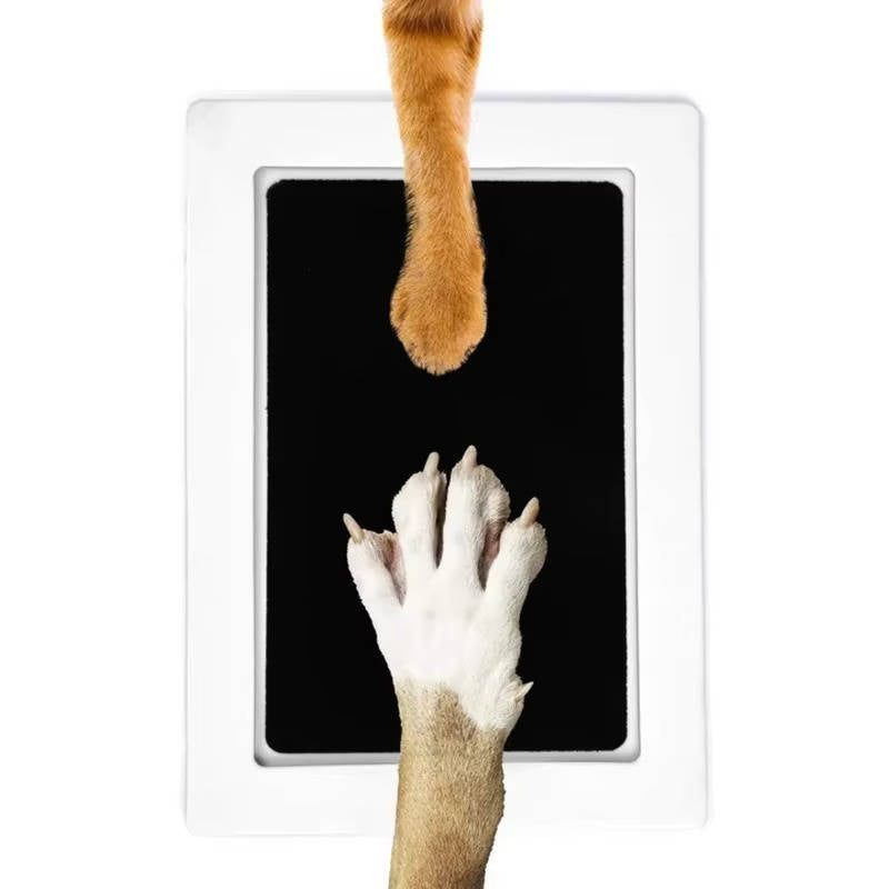 Belro dog paw print kit with pet grooming supplies, featuring tools and materials for creating paw print keepsakes.