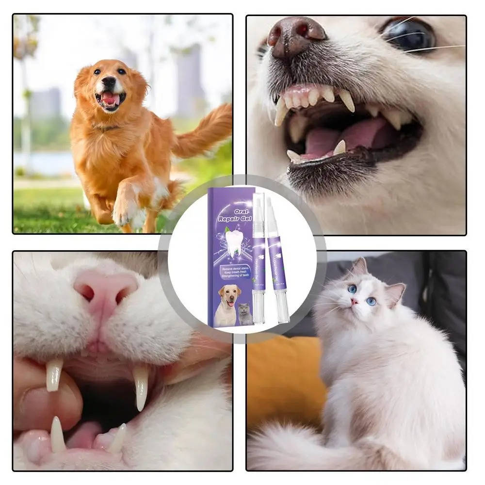 Belro 3-set dog oral repair gel, health and beauty oral care product for dogs with soothing gel in a tube and applicator