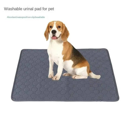 Belro dog pee pads, disposable and reusable, with absorbent surface and leak-proof backing for pet training and hygiene.