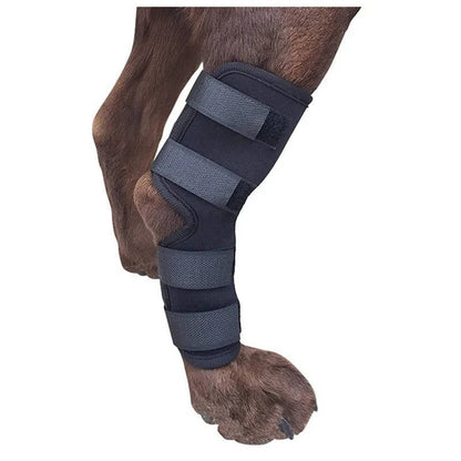 Belro dog orthopedic brace suspender accessory with adjustable straps, designed to support and stabilize a canine's injured leg.