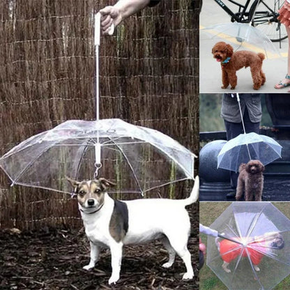 Belro dog umbrella with leash attached, waterproof clothing accessory for pets, featuring a compact canopy and adjustable leash.