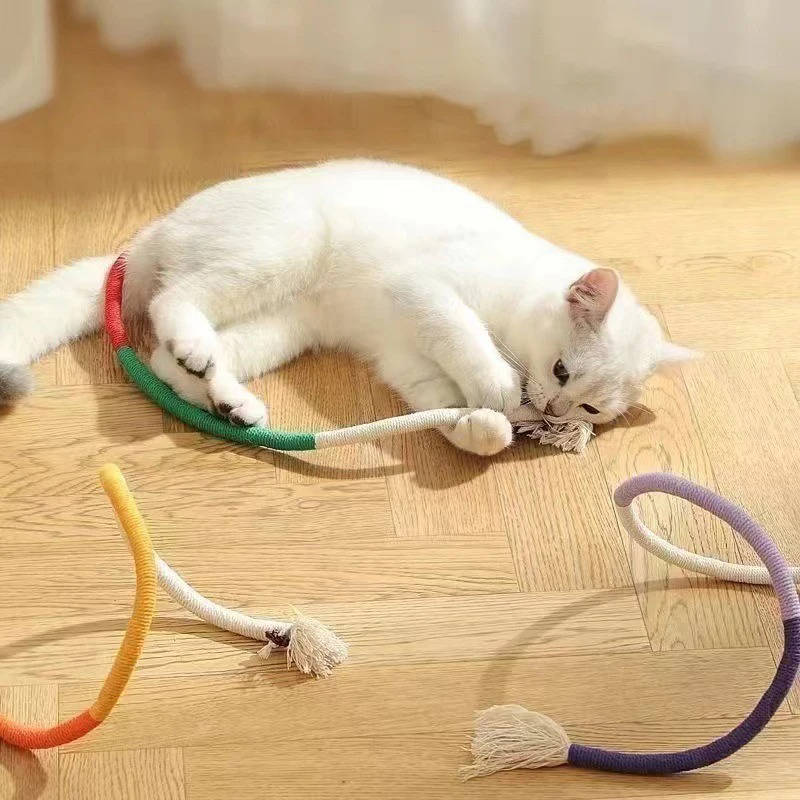 Colorful Belro cat chew toys made of durable material, designed to entertain and engage cats during playtime.