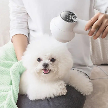 Belro 2-in-1 smart dog hair dryer with sleek design, featuring a handheld pet grooming dryer and adjustable settings.