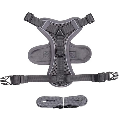 Reflective Belro cat harness and leash set with adjustable straps and safety features for secure outdoor walks.