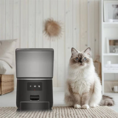 Belro automatic smart pet feeder for cats and dogs, with digital display and food dispensing tray in a modern pet supplies setting.