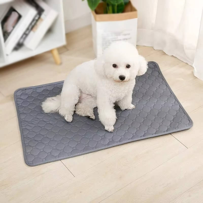 Reusable and disposable dog pee pads from Belro, showing both absorbent surface and waterproof backing for pet training.