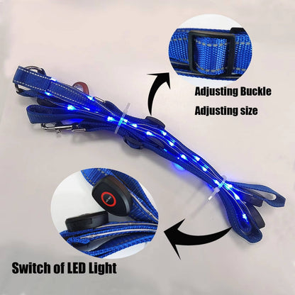 Belro LED horse collar with illuminated straps, durable pet supplies for horses, visible in a well-lit outdoor setting.