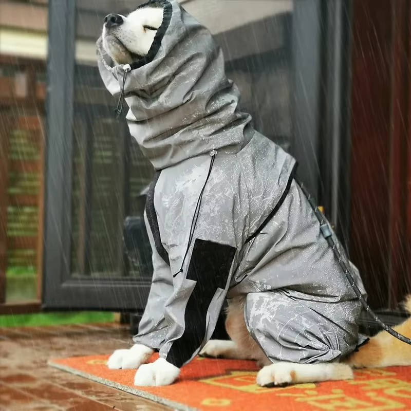 Belro waterproof dogs raincoat showing a dog wearing a bright, durable raincoat designed for outdoor protection in wet weather.