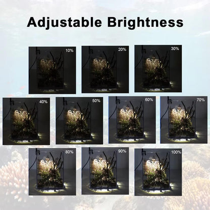 Belro LED light for fish tank, aquatic pet supplies, providing bright, energy-efficient illumination for freshwater and saltwater aquariums.