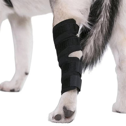 Belro orthopedic dog braces suspenders accessory showing adjustable straps and supportive design for canine joint stability.