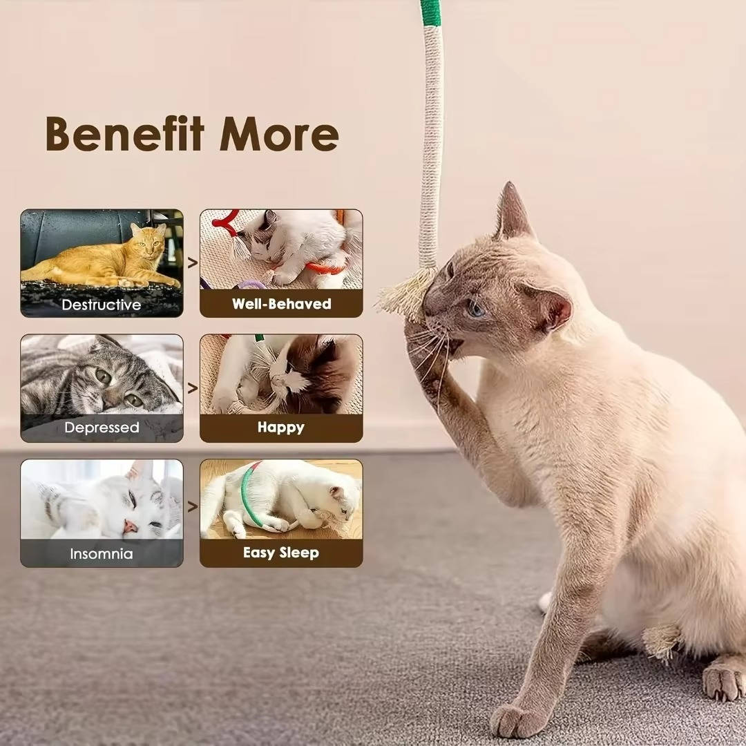 Belro cat chew toy made of durable pet supplies material, designed for playful cats to chew and chew safely.