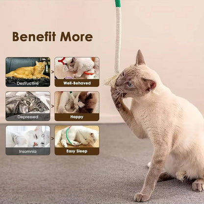 Belro cat chew toy made of durable pet supplies material, designed for playful cats to chew and chew safely.