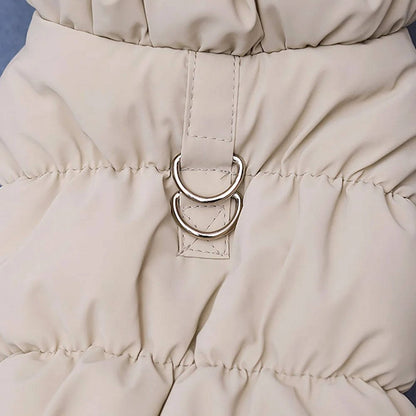 Belro warm winter dog jacket for small and medium dogs, with cozy insulation and adjustable straps for a snug fit.