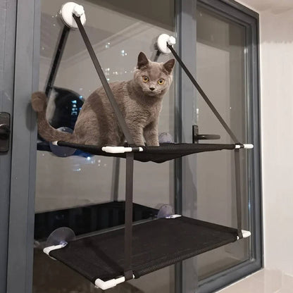 Belro cat window perch hammock attached to a window, providing a cozy lounging spot for cats in a home and garden setting.