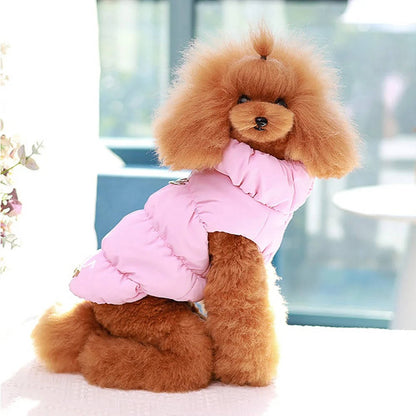 Small dog wearing a Belro warm winter jacket, cozy and insulated, designed for cold weather and outdoor walks.