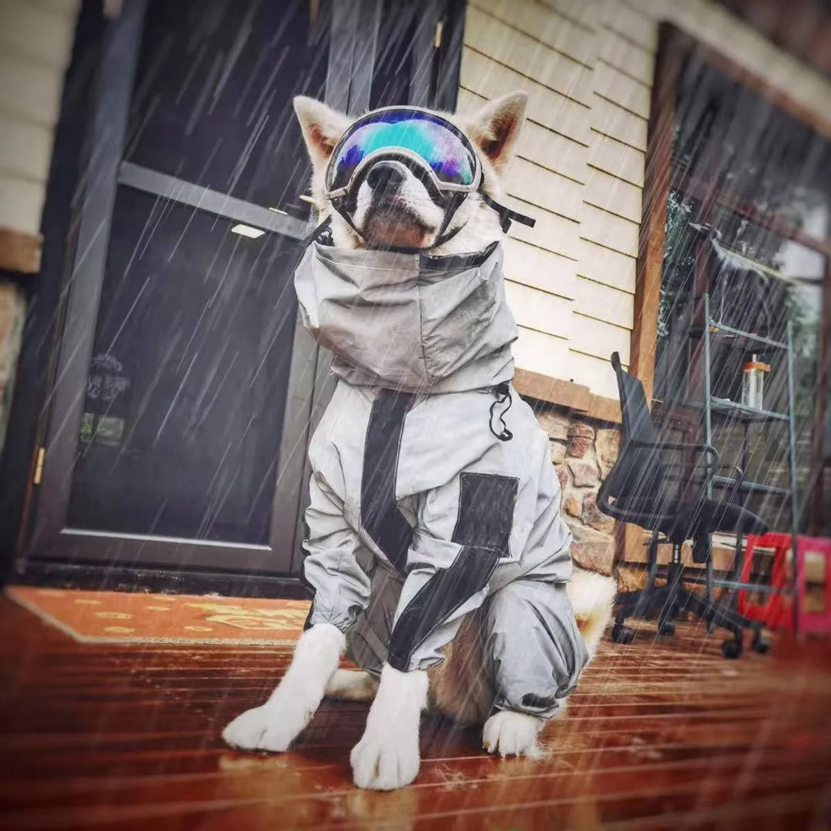 Belro waterproof dogs raincoat, lightweight clothing with adjustable hood and reflective strips, designed to keep dogs dry in rain.