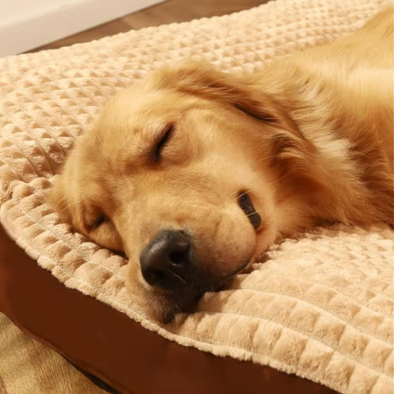 Belro warm dogs sleeping bed made of soft fleece, cozy pet bed with plush interior for comfortable rest.