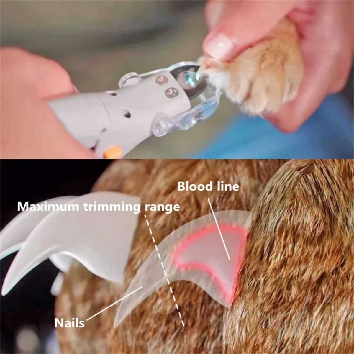 Belro Pet Bail Clipper with light for dog grooming, featuring a sleek handheld design and integrated illumination.
