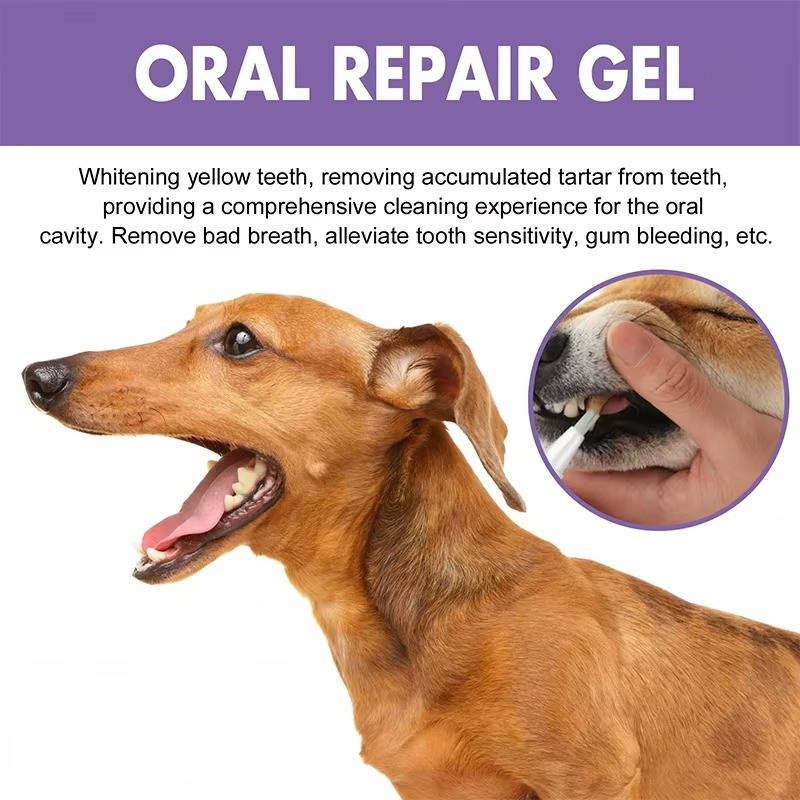 Belro 3-set dog oral repair gel bottles showing white and blue packaging for pet oral health and dental care.