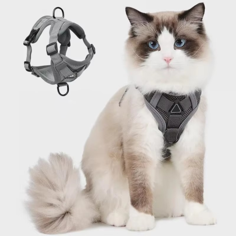 Belro reflective cat harness and leash set with adjustable straps and safety reflectors for secure outdoor walks.
