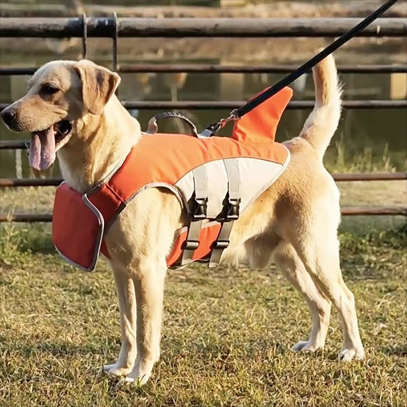 Belro dog float jacket in bright orange with adjustable straps, designed for safety and comfort during water activities.