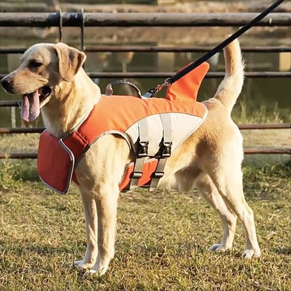 Belro dog float jacket in bright orange with adjustable straps, designed for safety and comfort during water activities.