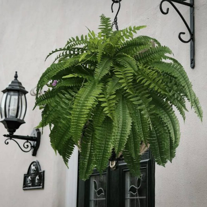 Belro UV resistant lifelike artificial Boston fern for home and garden decor, showcasing lush green fronds in a natural arrangement.