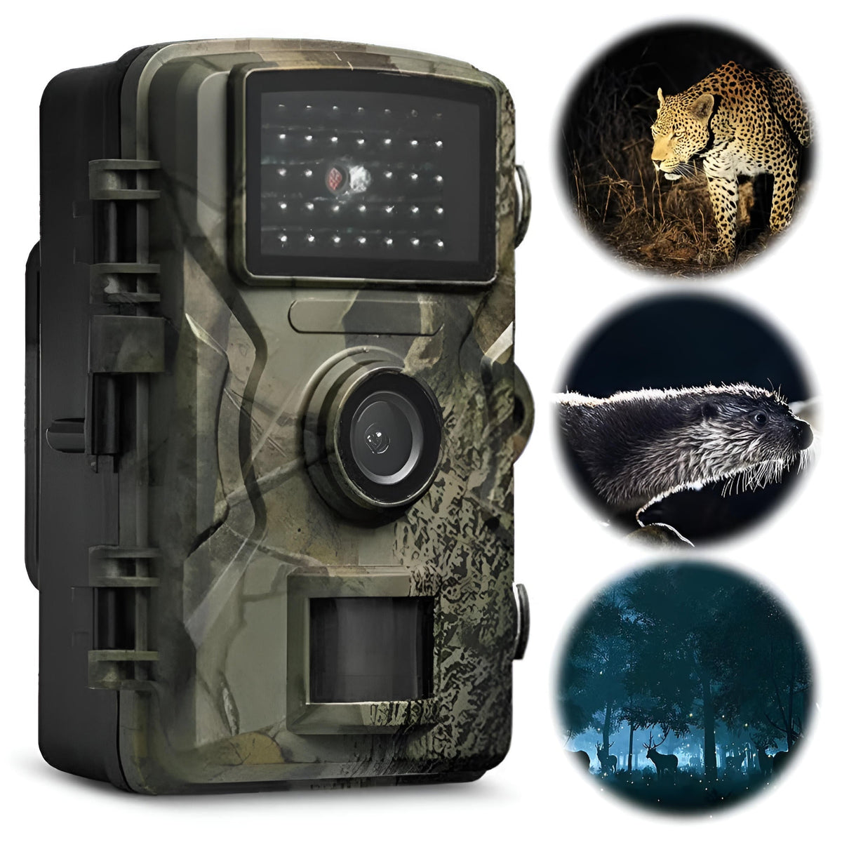 Belro night vision outdoor wildlife trail camera capturing animals in natural habitat at night.