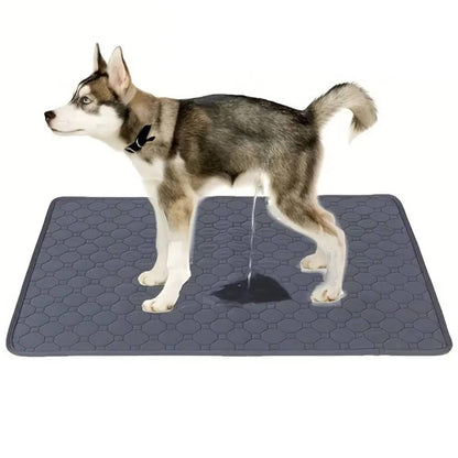 Belro disposable and reusable dog pee pads for pets, showing absorbent surface and leak-proof backing for indoor use